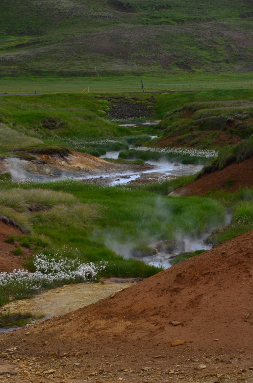 20160701_091945-DSC_0677