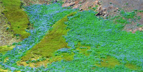 20160701_095242-DSC_0716