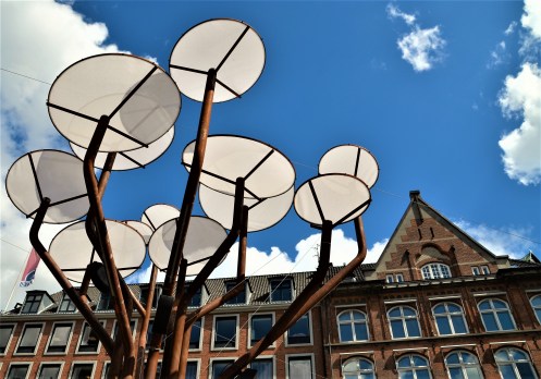 20160704_043244-DSC_0046