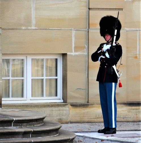 20160704_104140-DSC_0251